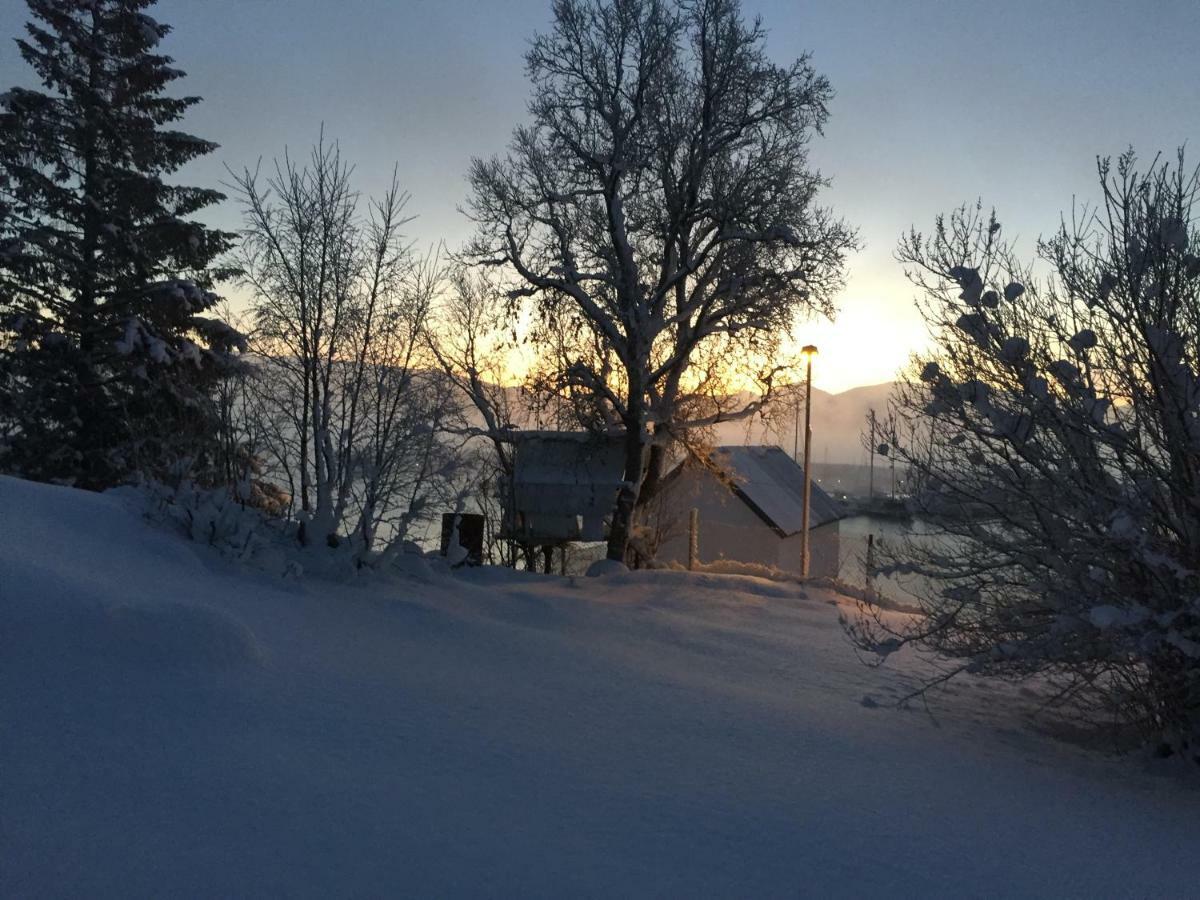 House In Central Finnsnes Bagian luar foto